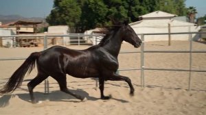 8624901-hd_1920_1080_30fps