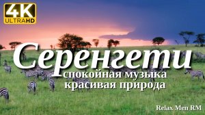 4К Серенгети - Красивая природа и спокойная музыка которая подойдет для отдыха, медитации