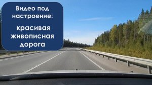 Летние путешествия: прекрасная дорога перед капотом и пейзаж!