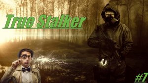 Прохождение True Stalker Стрим 7 Новошепеличи