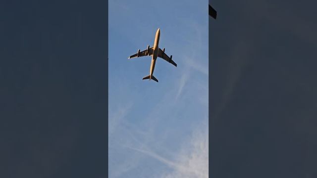 #LUFTHANSA