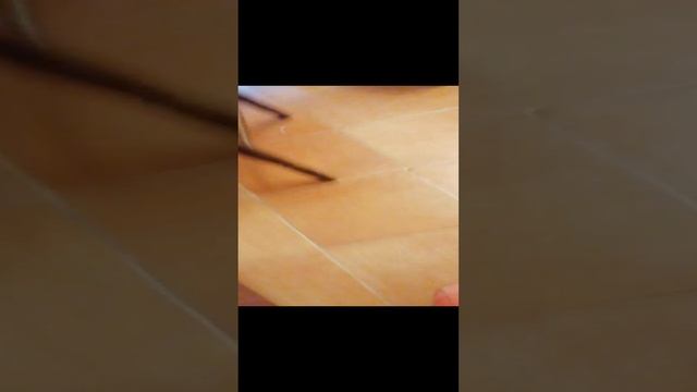 Я стал спайдер мэном в реальной жизни.
