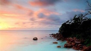 D. Chicago - Maydays /Exclusive Deep House Mix/