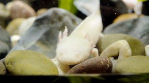 8838031-hd_1920_1080_24fps