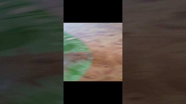 всех поздравляю с 1 льдом!!!!