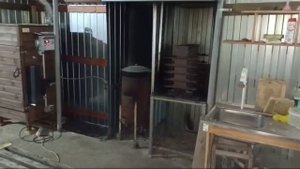 коптим перепелов