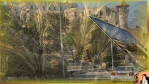 Земля обетованная