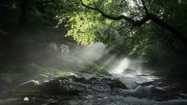 L'entrée à Jerusalem - Stephen Sicard (Logos) смотреть онлайн