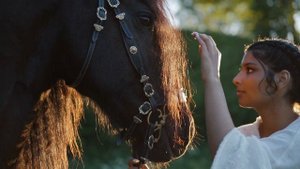 8921157-hd_1920_1080_25fps