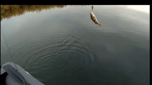 Рыбалка!