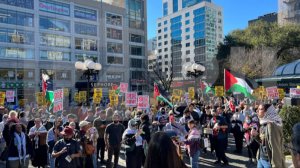 В Нью-Йорке снова проходят митинги в поддержку Палестины и Ливана