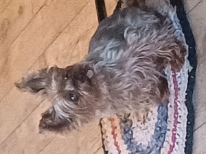 я из ютуба в рутуб