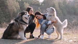 4267751-uhd_3840_2160_30fps