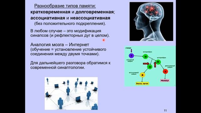 Дубынин В. А. - Мозг: как он устроен и работает - Лекция 5