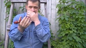Андрей Кетнер - Манки из экзотического дерева.