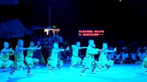 Школа Шаолиня (часть 1)