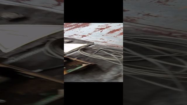 записки сторожа