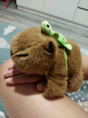 капибара капибара капибара капибара капибара капибара капибара капибара капибара