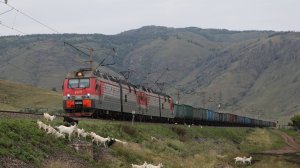 Поезда на горном участке Белорецк - Магнитогорск Южно-Уральской железной дороги. Август 2024 года