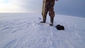 Зимняя рыбалка на окуня и щуку // Winter fishing for perch and pike