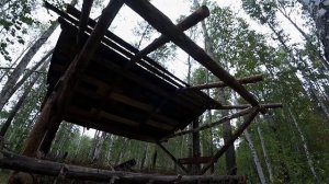 Кормушка для косули  // Feeder for roe deer...