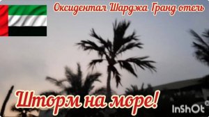 ОАЭ - 2024. Шторм на Персидском заливе. Оксидентал Шарджа Гранд отель.