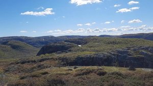 Первая летняя рыбалка в сопках