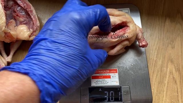 ГЛАВНАЯ ЖИЗНЬ САМЫЙ КРУПНЫЙ ПЕРЕПЕЛ в Украине селекция Хитрук Елена