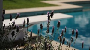 Eco Outdoor® and Cadence & Co ｜ Charlotte Park Project