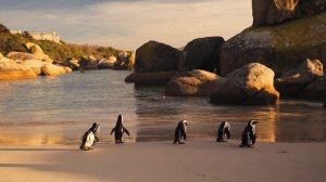 9116111-uhd_3840_2160_25fps