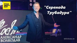 "СЕРЕНАДА ТРУБАДУРА" - исп. Александр Волкодав, Питер, РУКИ ВВЕРХ, 19/10/24 #александрволкодав