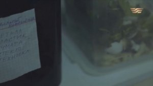 «Бережливая нация». Минимизируй эко-след – заботься о детях