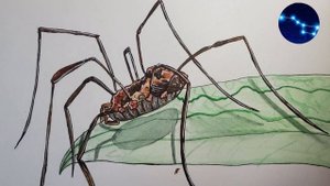 Сенокосец. Л. Чудинова