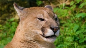 15343877-uhd_3840_2160_30fps