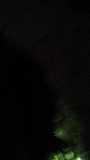 бесемся в 22:18 автор залез в наволочку а Надя в одеяла пугать брата