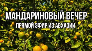 Где отдохнуть в Абхазии осенью 2024. Авторский Экскурсионный Тур по Абхазии "Все Включено "