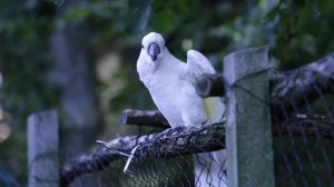 855556-hd_1920_1080_25fps