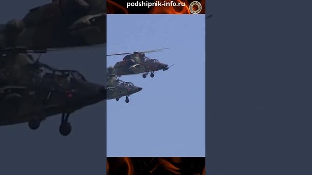 Высший пилотаж Тигров / Tiger Aerobatics