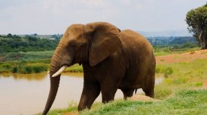 3842814-uhd_3840_2160_30fps