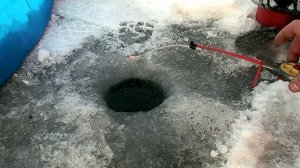 Зимняя рыбалка // Как поймать живца