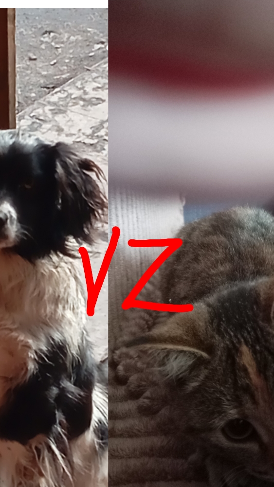 кто круче смайл или дуня смотреть онлайн