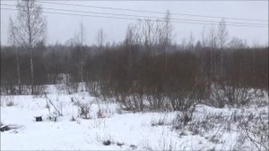 Холодное копчение 29 января 2021 г.