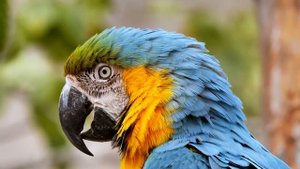 4982608-hd_1920_1080_25fps