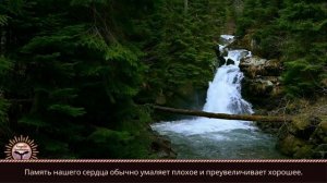 Мирная музыка и природа наполнят ваше сердце радостью ❤️ Мотивационные вдохновляющие цитаты #14