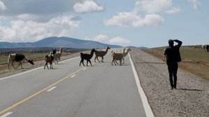 4911988-uhd_3840_2160_24fps