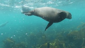 5607746-uhd_3840_2160_30fps