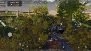 Ферма. Соло. Золото!