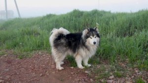 4712692-hd_1920_1080_25fps