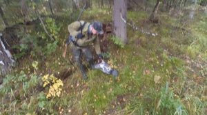 Самый лучший день сезона