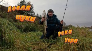 Ловля щуки осенью на спиннинг.